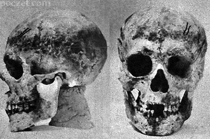 czaszka Janusza III mazowieckiego odnaleziona w roku 1953