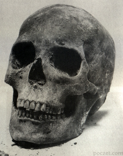 czaszka Jadwigi Andegaweńskiej