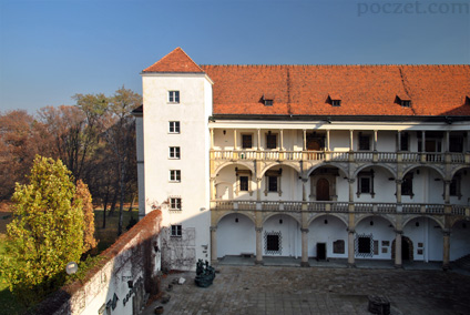 zamek w Brzegu